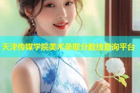 天津传媒学院美术录取分数线查询平台