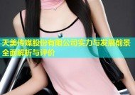 天美传媒股份有限公司实力与发展前景全面解析与评价