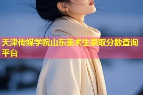 天津传媒学院山东美术生录取分数查询平台