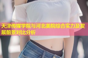 天津传媒学院与河北美院综合实力及发展前景对比分析