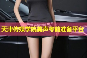 天津传媒学院美声考前准备平台
