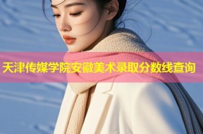 天津传媒学院安徽美术录取分数线查询