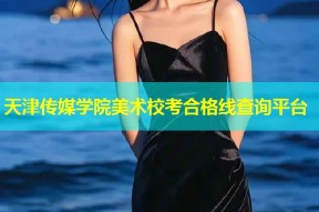 天津传媒学院美术校考合格线查询平台
