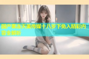 国产果冻天美传媒十八岁下免入精彩内容全解析