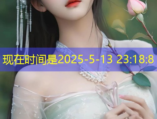 一起看流星雨赵雅琳在天美传媒：多元视频  第1张