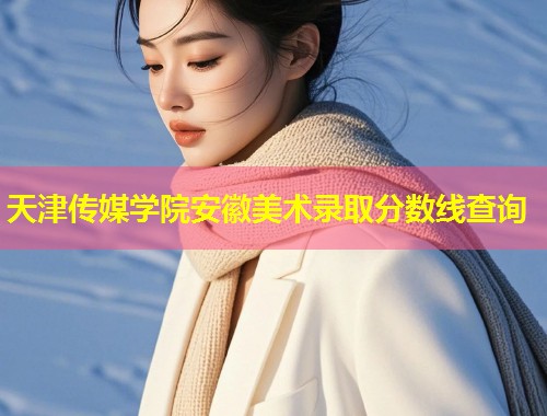 天津传媒学院安徽美术录取分数线查询  第1张