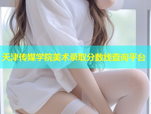 天津传媒学院美术录取分数线查询平台 第2张 天津传媒学院美术录取分数线查询平台 第2张
