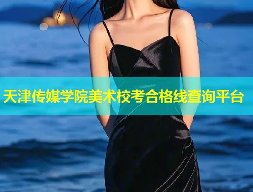 天津传媒学院美术校考合格线查询平台  第1张