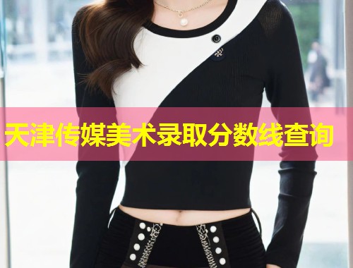 天津传媒美术录取分数线查询  第2张