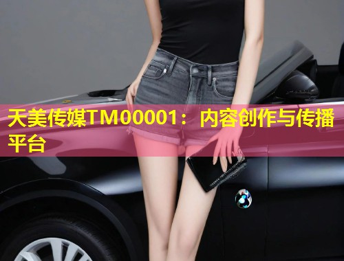 天美传媒TM00001:内容创作与传播平台 第1张 天美传媒TM00001:内容创作与传播平台 第1张