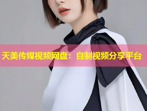 天美传媒视频网盘：自制视频分享平台  第1张