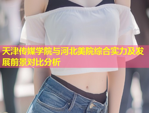 天津传媒学院与河北美院综合实力及发展前景对比分析 第1张 天津传媒学院与河北美院综合实力及发展前景对比分析 第1张