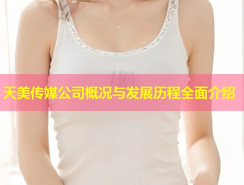 天美传媒公司概况与发展历程全面介绍 第1张 天美传媒公司概况与发展历程全面介绍 第1张