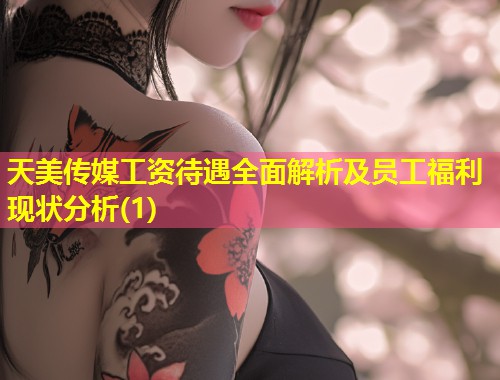 天美传媒工资待遇全面解析及员工福利现状分析(1)  第1张