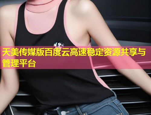 天美传媒版百度云高速稳定资源共享与管理平台  第1张